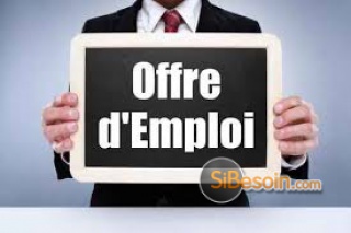 la petite annonce Recherche un chauffeur avec un permis b sur Sibesoin.com / nantes (44000)