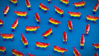 la petite annonce Concours photo lgbtqi+ sur Sibesoin.com / nice