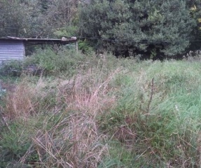 la petite annonce Consultation pour l\'avenir  sur Sibesoin.com / paris