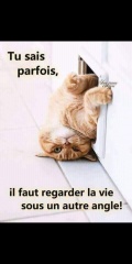 Sibesoin.com petite annonce gratuite 2 Craquinette ponponette 