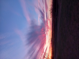 la petite annonce Voyance cartomancien  sur Sibesoin.com / Pomerols 